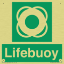 lifebuoy-with-symbol~